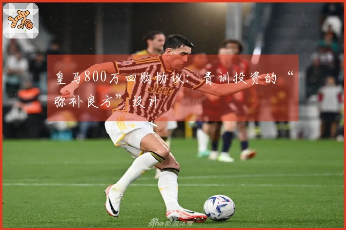 皇马800万回购协议：青训投资的“弥补良方”设计