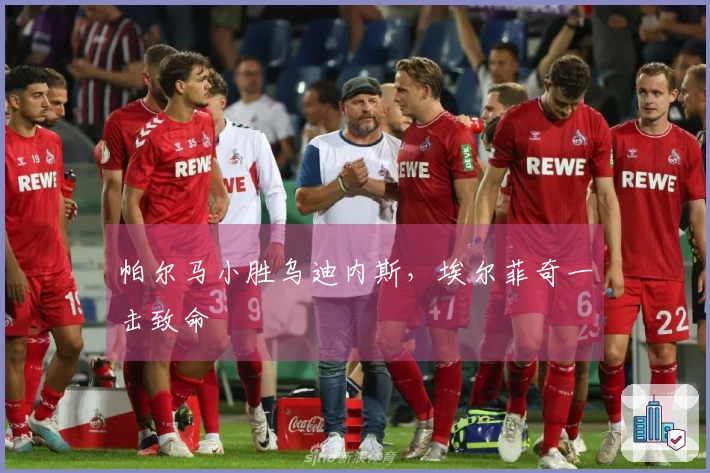 帕尔马小胜乌迪内斯，埃尔菲奇一击致命