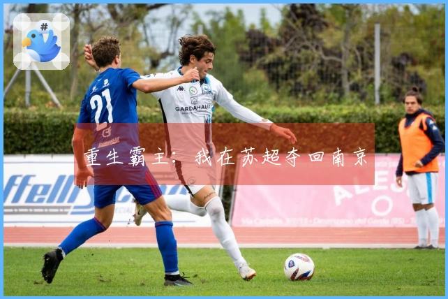 重生霸主：我在苏超夺回南京