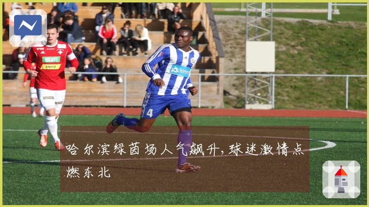 哈尔滨绿茵场人气飙升,球迷激情点燃东北