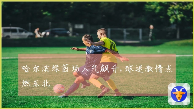 哈尔滨绿茵场人气飙升,球迷激情点燃东北